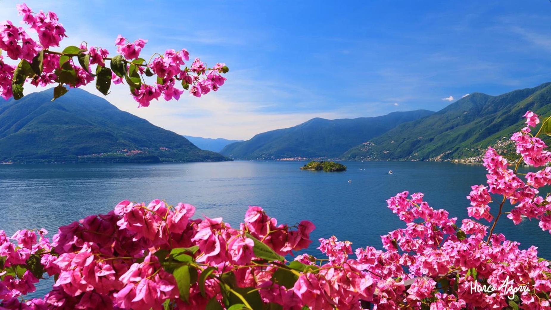Charme Hotel Al Torchio Ascona Exteriér fotografie